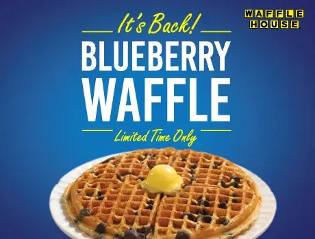 blueberry waffle